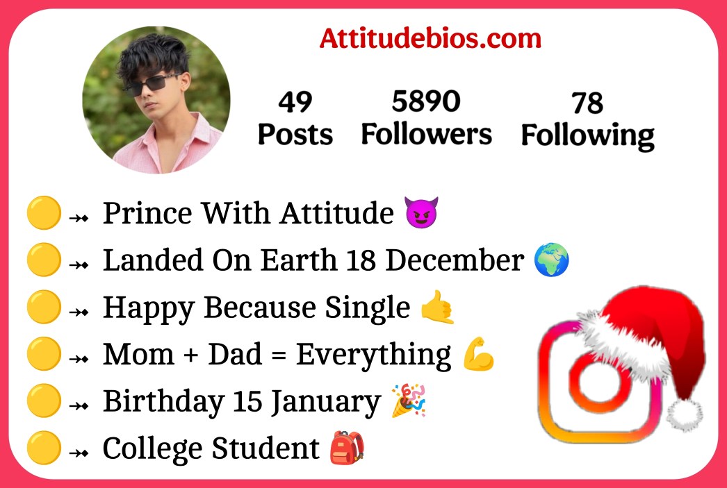 Instagram Bio For Boys Attitude