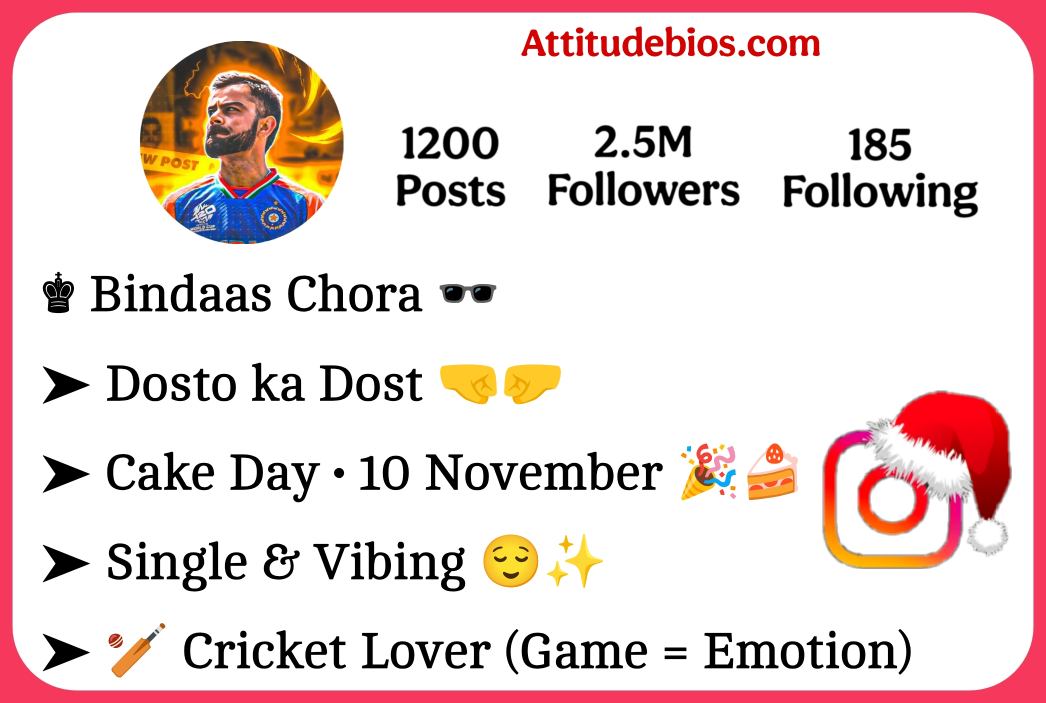 Instagram Bio For Cricket Lovers