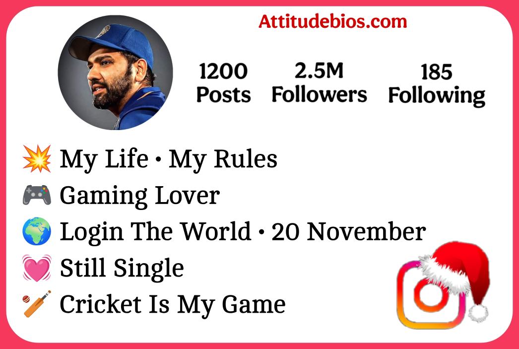 Instagram Bio For Boys Cricket