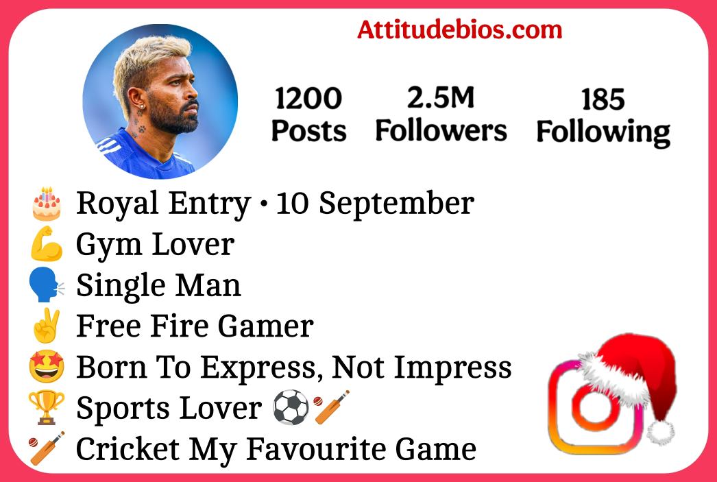 Instagram Bio For Cricket Lovers