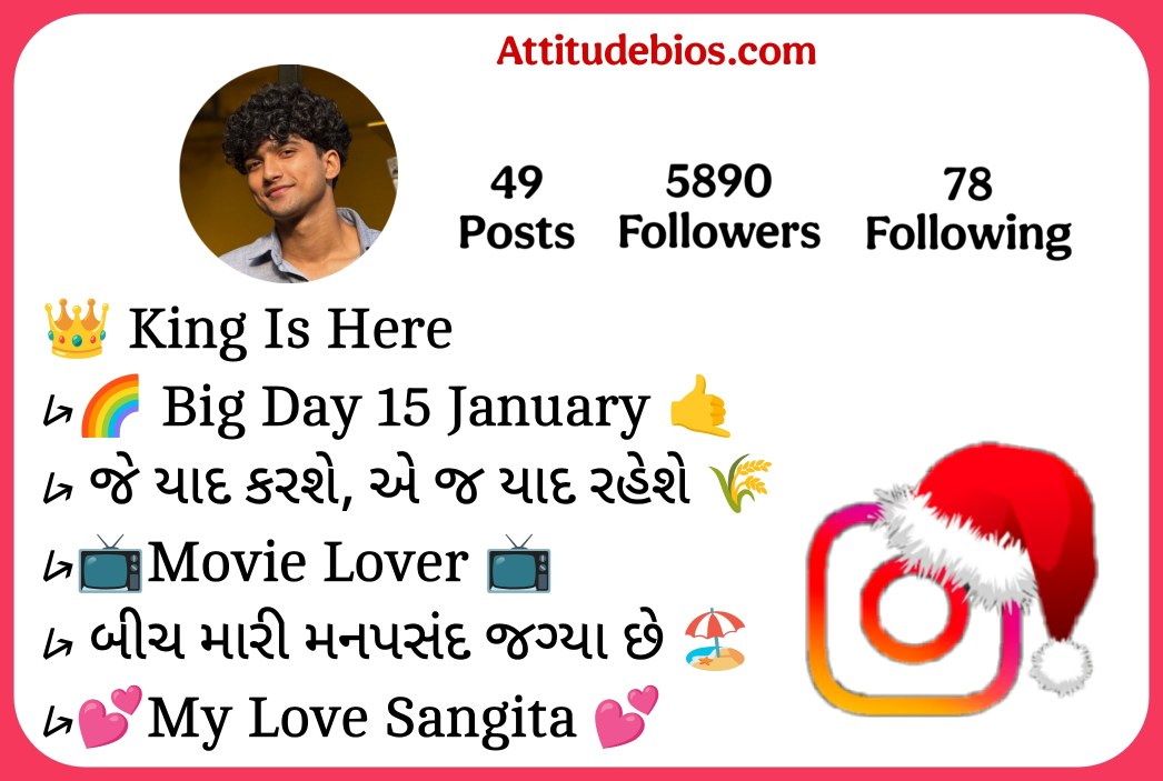 Instagram Bio In Gujarati